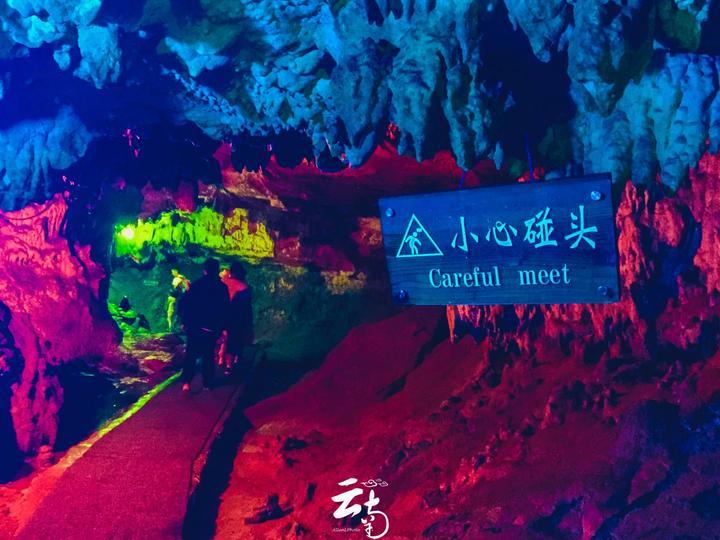 荆棘王座