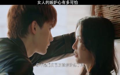 救援小犬立苏
